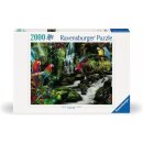 Bunte Papageien im Dschungel