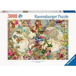 Weltkarte mit Schmetterlingen