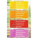 Wieso? Weshalb? Warum? Dinosaurier Quartett