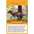 Wieso? Weshalb? Warum? Dinosaurier Quartett