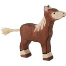 Fohlen, stehend, dunkelbraun