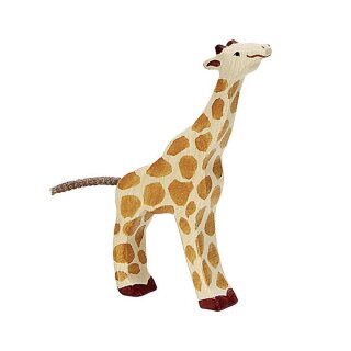 Giraffe, klein, fressend