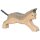 Katze, laufend