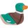 Erpel, schwimmend