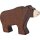 Braunbär