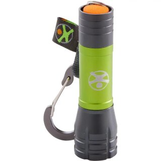 Display Terra Kids Mini-Taschenlampen
