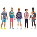 Barbie Ken Fashionistas Puppen Sortiment