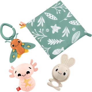 Fisher-Price Sensorische Erlebnisse Geschenkset
