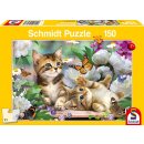 Verspielte Katzenbabys