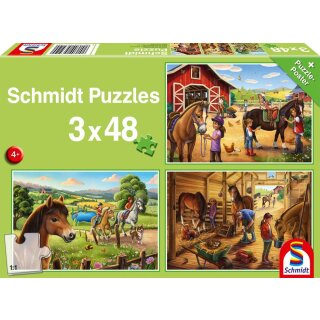 Meine Lieblingspferde