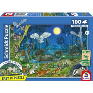Tiere nachts im Wald