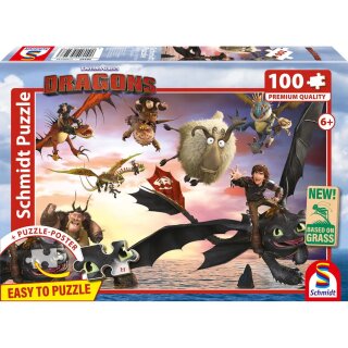 Dragons, Drachenreiter in Aktion, 100 Teile