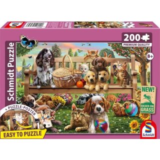 Gartenpicknick für Hund und Katze