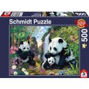 Pandafamilie am Wasserfall