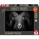 Dominance, Widder, Im Zeichen des Feuers