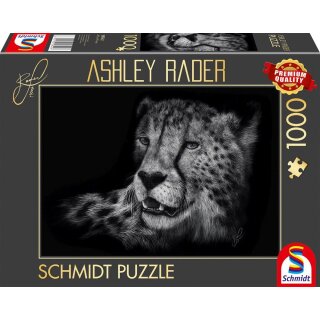 Speed - Gepard, im Zeichen der Anmut