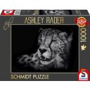 Speed - Gepard, im Zeichen der Anmut