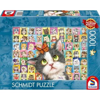 Katzen-Mimik