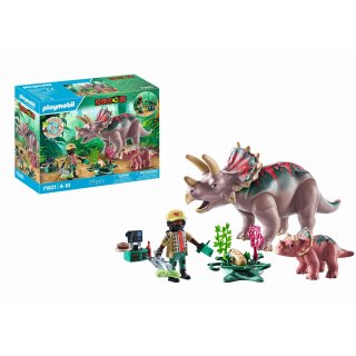 Triceratops mit Jungtier