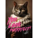 You Look Purrrfect!