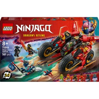 Ninja-Actionflitzer