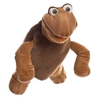 Sammy Schildkröte