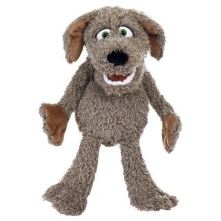 Locke der kleine Hund