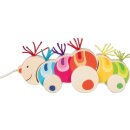 Ziehtier Raupe Papilio