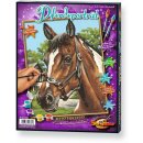 MNZ - Pferdeporträt