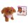 CCL Tea Cup Poodle Puppy