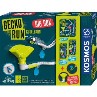 Gecko Run - Big Box