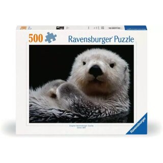 Süßer kleiner Otter