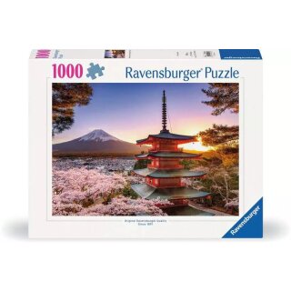 Kirschblüte in Japan