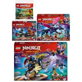 Lego Ninjago 4er Set: 71838 Kais Motorradrennen, 71842 Rontu der Meisterdrache, 71843 Rogues Mech-Drachenreiter & 30650 Kais und Raptons Duell im Tempel