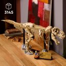 Dinosaurier-Fossilien: Tyrannosaurus rex