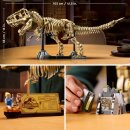 Dinosaurier-Fossilien: Tyrannosaurus rex