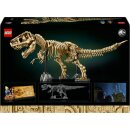 Dinosaurier-Fossilien: Tyrannosaurus rex