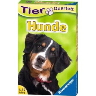 Tierquartett Hunde
