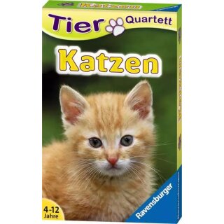 Tierquartett Katzen