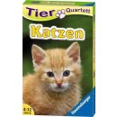 Tierquartett Katzen