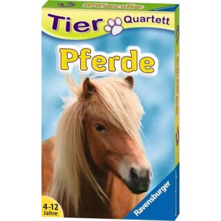 Tierquartett Pferde