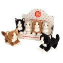 Katzen 3-farb. sort. 20 cm, VE 6 Stück im Display