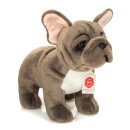 Französische Bulldogge stehend grau 30 cm