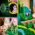 Emerald City Wandkunst