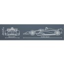 BWT Alpine F1 Team Car