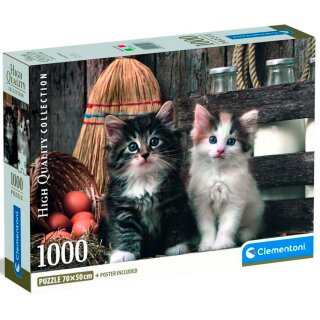 1.000 T High Quality Collection Compact