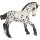 Appaloosa Fohlen schwarz