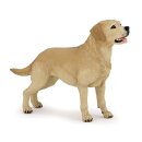 Labrador-Retriever