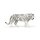 Weißer Tiger
