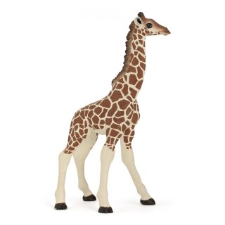 Giraffenjunges
